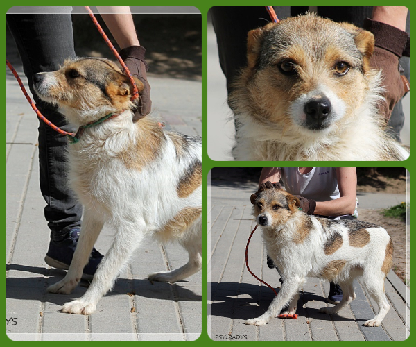 BeFunky-collage (21)