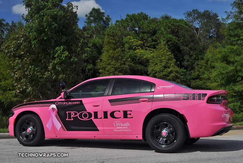 pinkpolicecar.jpg