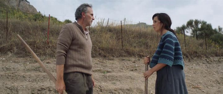 vlcsnap-2023-07-14-08h13m40s058