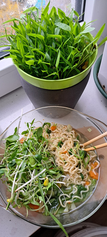 [Image: 20231012-102751.jpg]