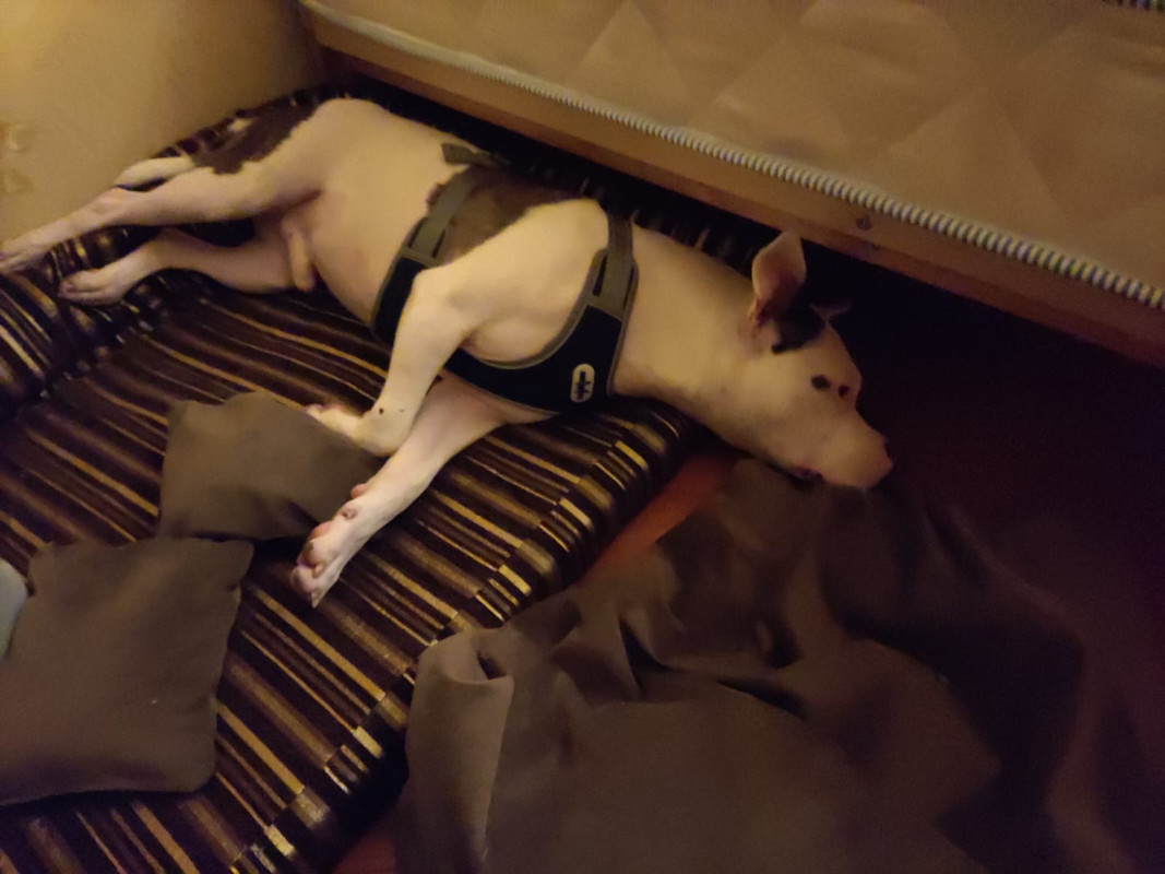 9E378056-F221-4588-B2D2-84C17187015A