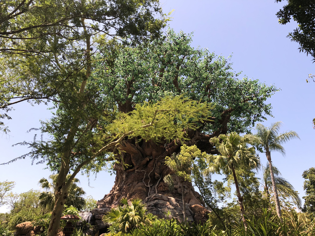 EF8519E4-736B-4671-9BD4-8180AE163822