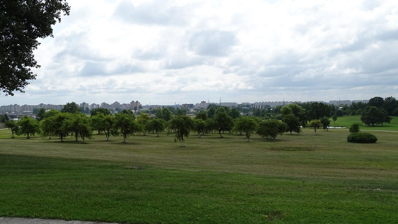 DSC01765.jpg