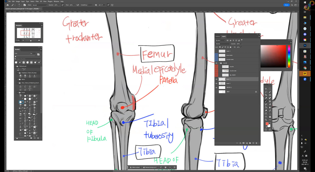 week 1 anatomy 2160p 0001 01 18 44