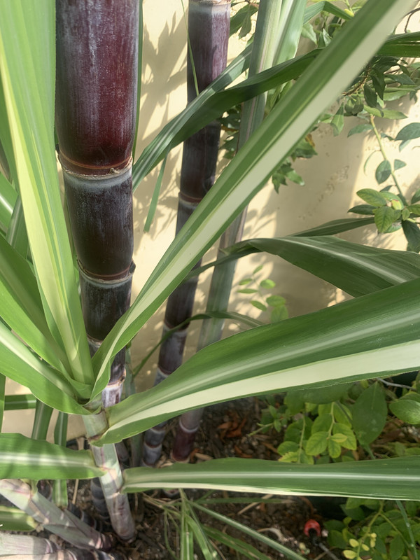 A4C2BE65-6480-47F6-A172-403F6BD04B0E