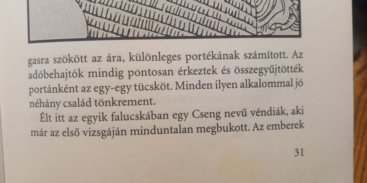 Kép