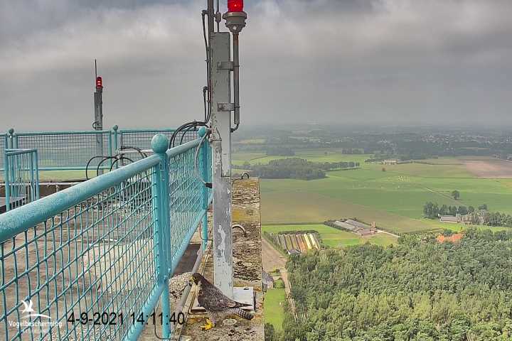 campics vanaf 1 juli © VWGGemert en bonusjes van ter plekke - Pagina 23 6