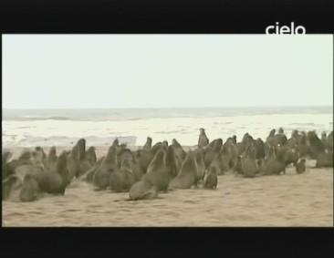 Tivusat 10 anni (50)