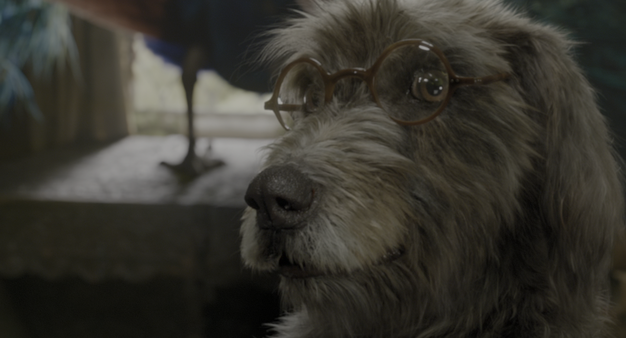 Dolittle.2020.2160p.UHD.BluRay.x265.10bit.HDR.DTS-HD.MA.TrueHD.7.1.Atmos-SWTYBLZ.mkv_snapshot_00.08.