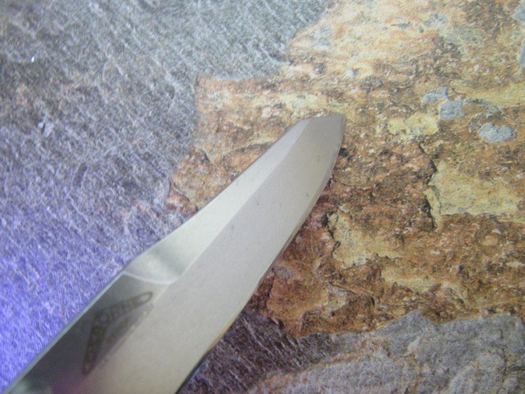 IMG-0332.jpg