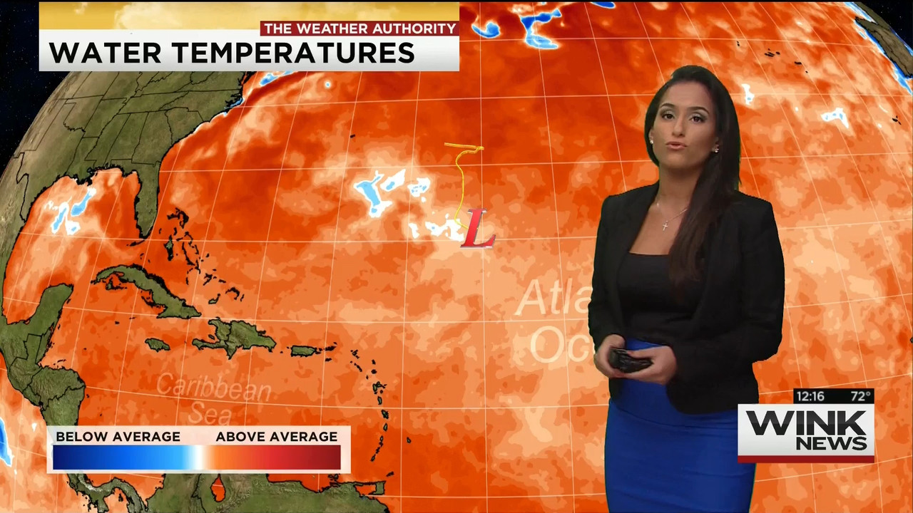 10.19 - 17.00.00 - WINK Noon News..ts_snapshot_22.17.100