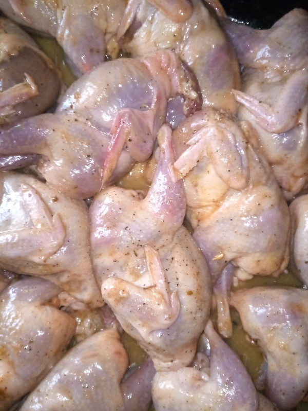 IMG-1c21b8d9851d7eac38b935eb1c1e1869-V