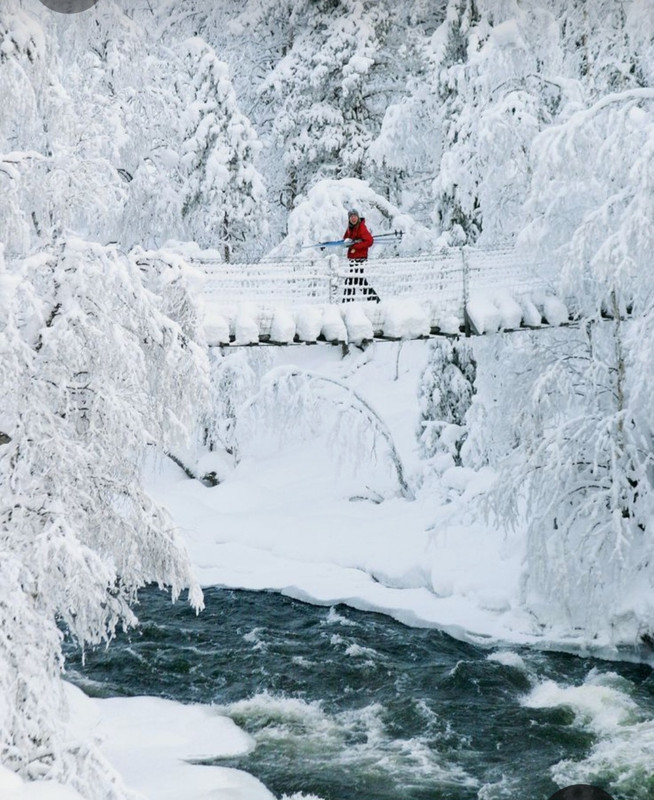 Screenshot_20231009_223635_Pinterest