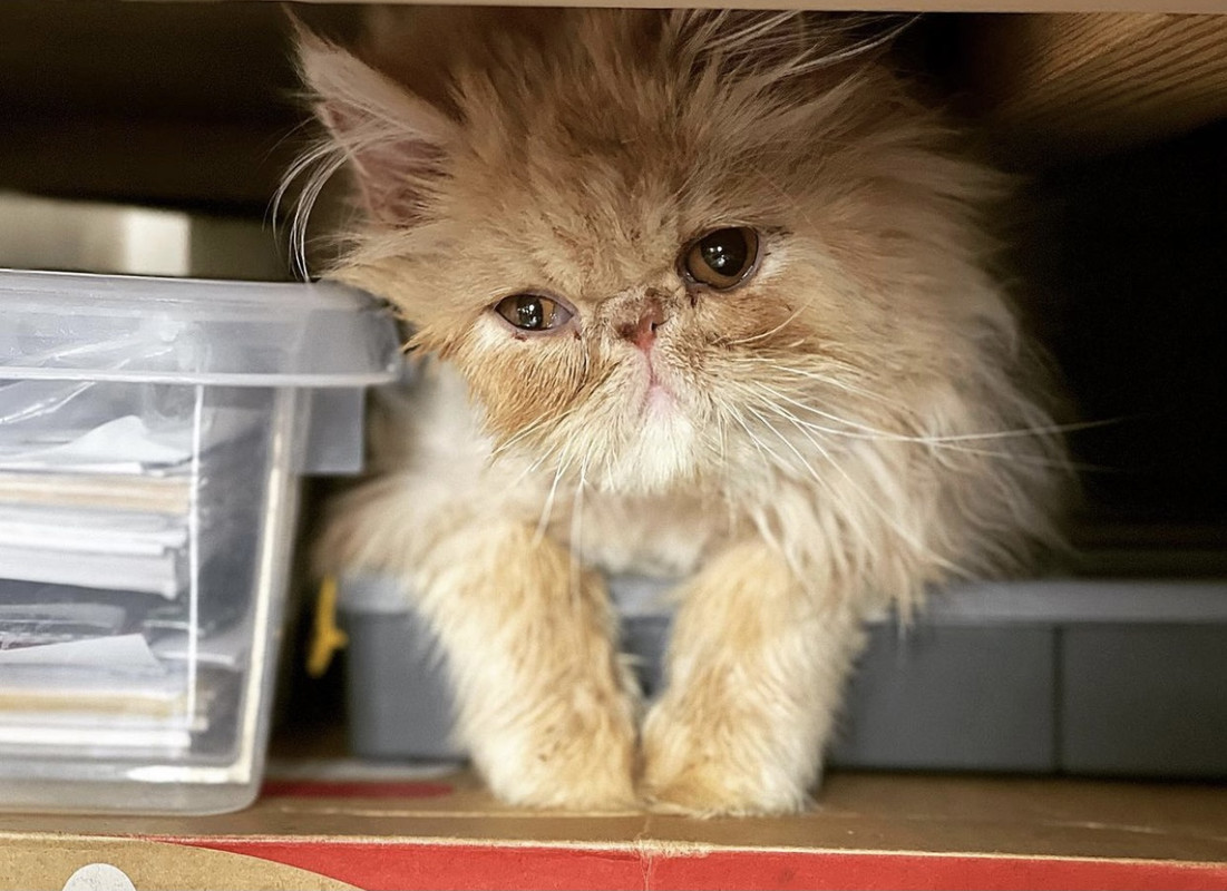 8D8B6E0D-AEC1-45F9-AFD8-299FCF0521D9