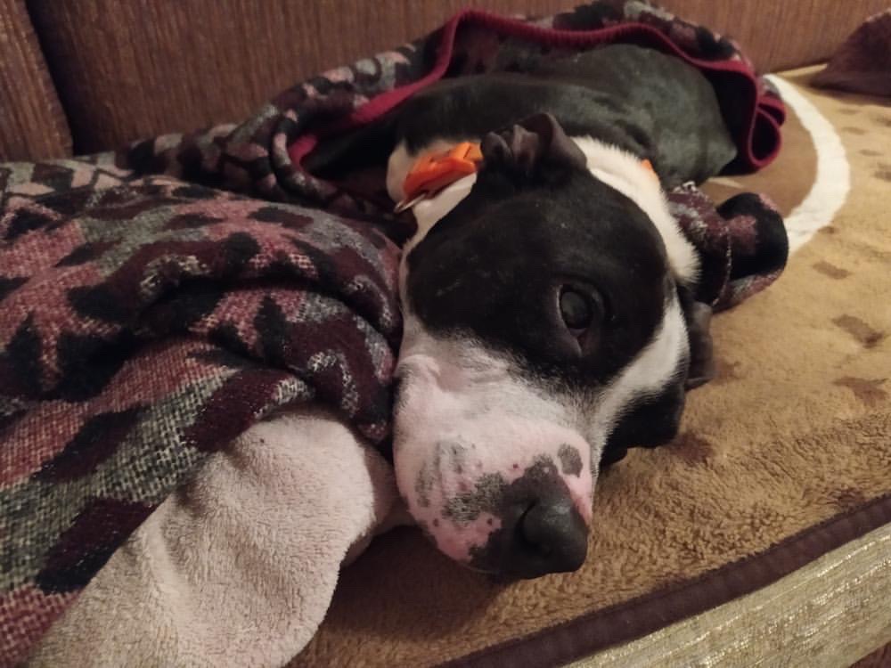 893CBEAE-277C-4281-B00A-6142E2696983