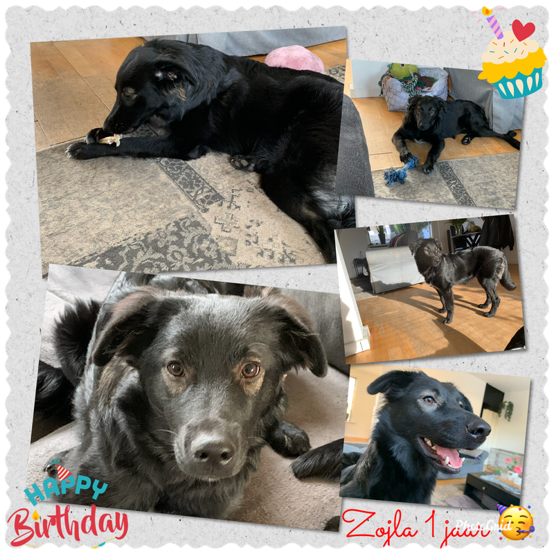 30411BD8-2E3C-48A2-B553-A8D9E742E3AF