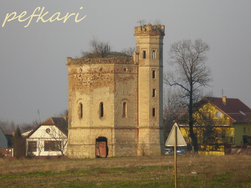 Slika