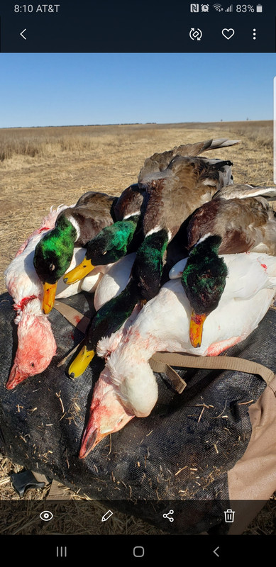 Screenshot_20200112-201007_Gallery