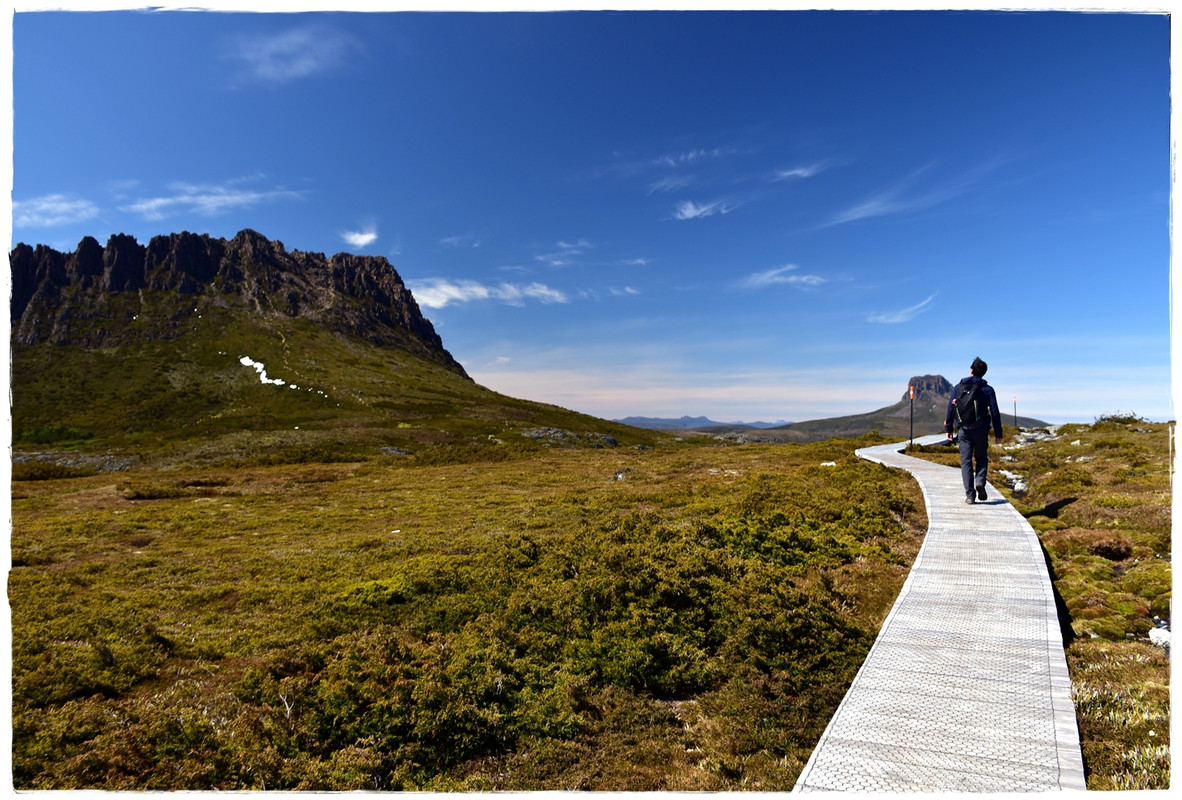 Cradle Mountain National Park - Australia (II): Recorriendo Tasmania (13)