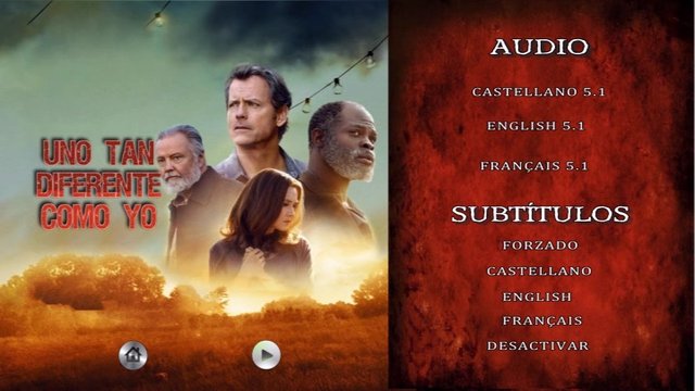 2 - Uno Tan Diferente Como Yo [DVD9 Custom][Pal][Cast/Ing/Fra][Sub:Varios][Drama][2017]