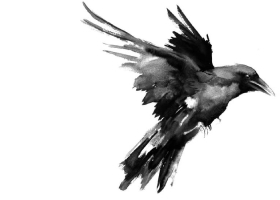 https://i.postimg.cc/Ss2wBWVj/flying-raven-suren-nersisyan-2.jpg