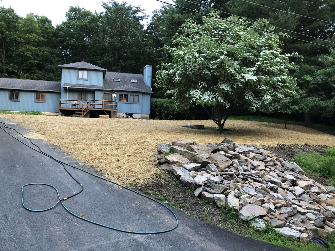 A0F8F70E-DDC8-49A0-9FC5-9448D00E7A11