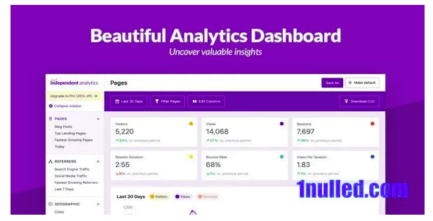 indanalyticspro 21110