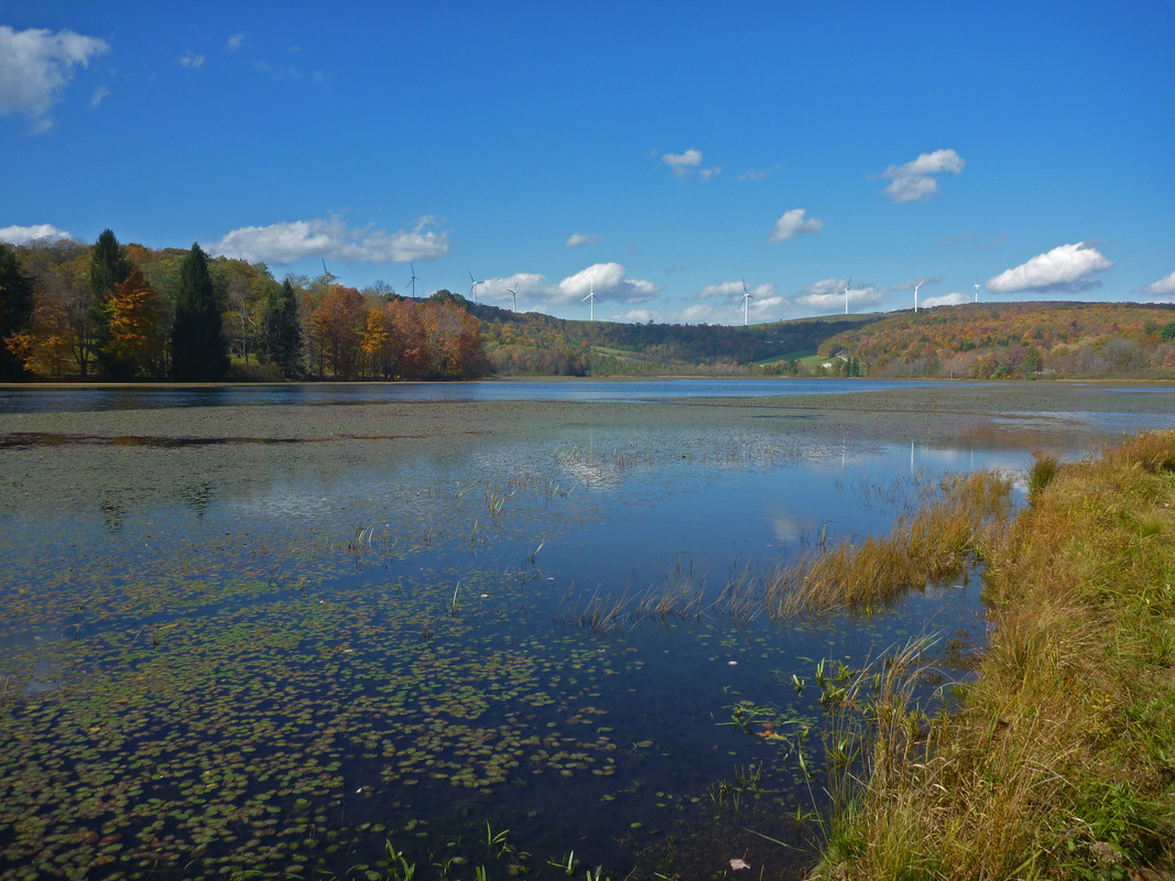 2020-10-15 13 Cranberry Glade Lake