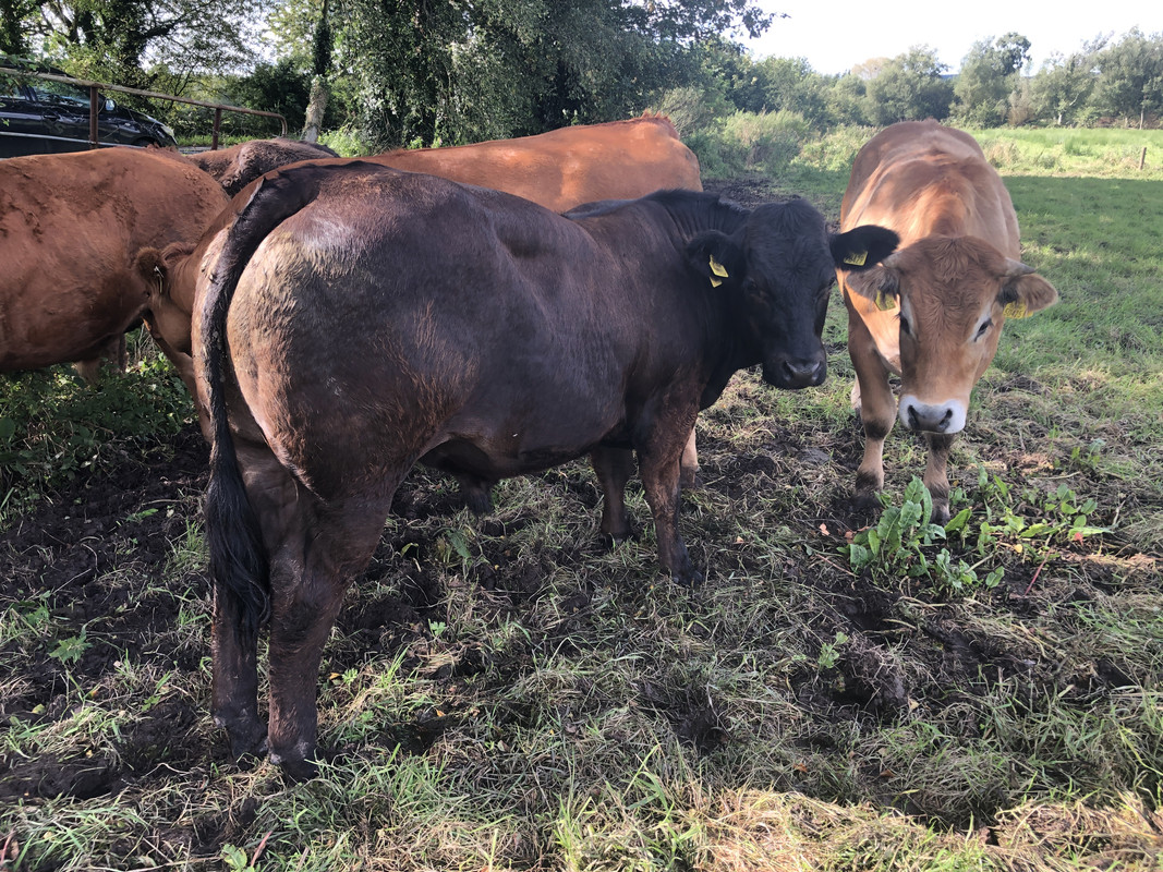 CB1B5987-9382-4211-95FB-DAA268F6B8D2