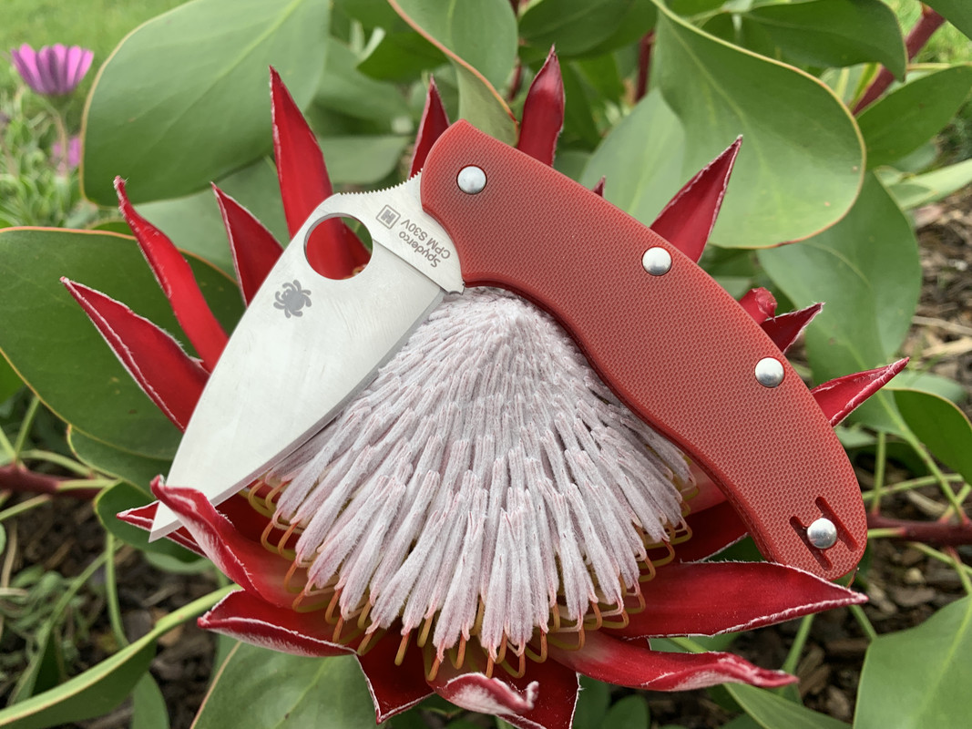 0AFB4B33-5040-4B0B-8CED-82C8E2808BC9