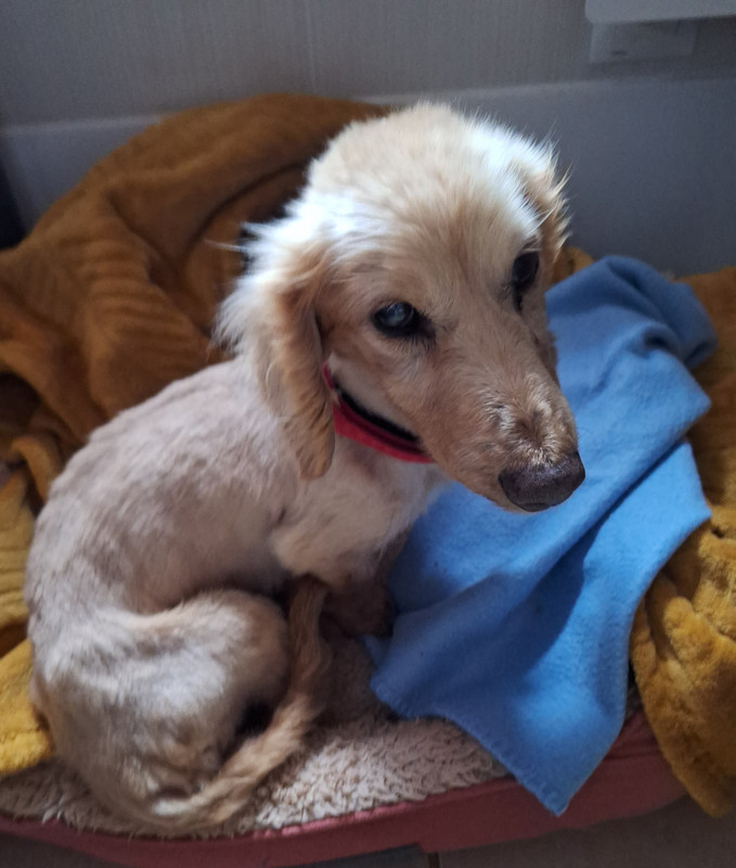 [Image: 20240326-182215.jpg]