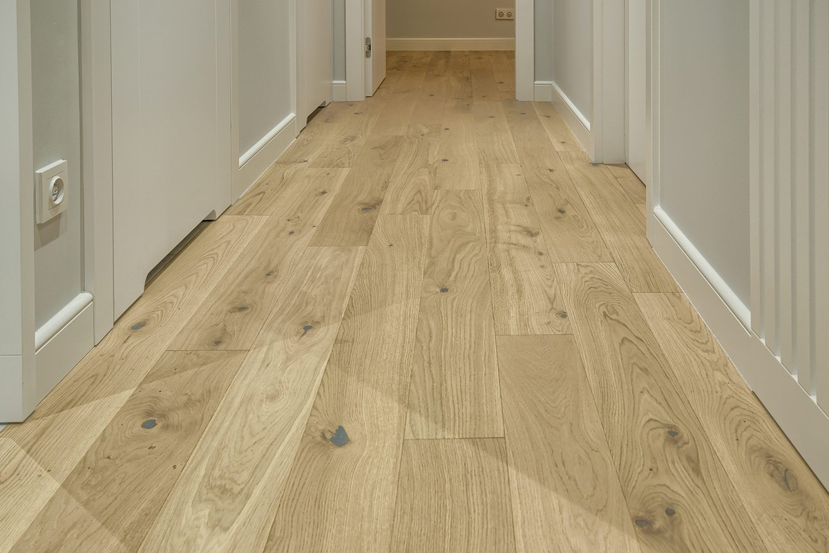 51286870-2368869799849872-20159171947218