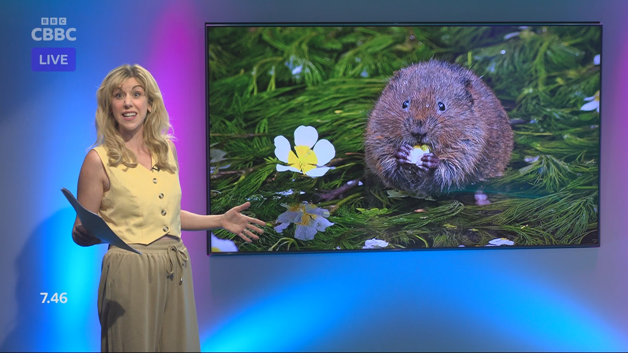 Newsround_20250806_07450755.ts_snapshot_06.42.629