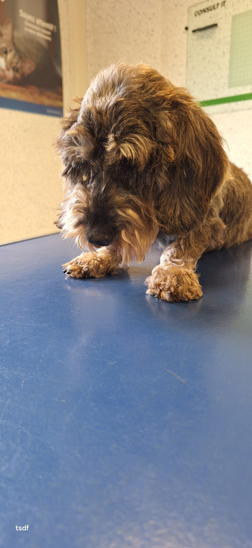 [Image: 20250606-171443.jpg]