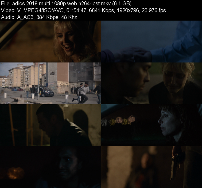 adios-2019-multi-1080p-web-h264-lost.png