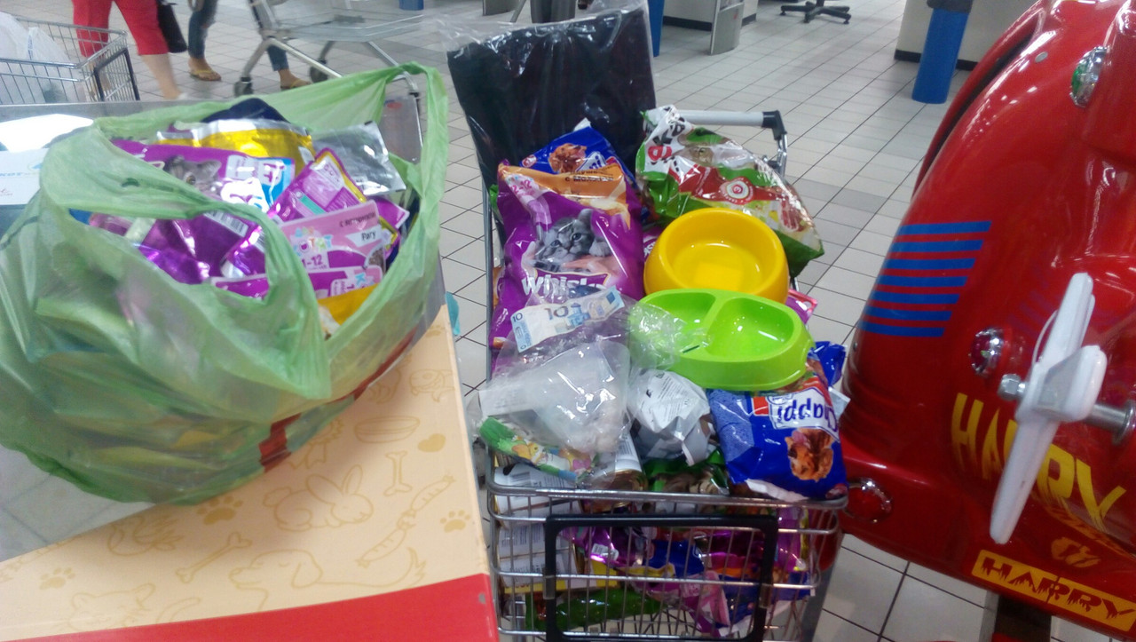 PROSTORмалиновка