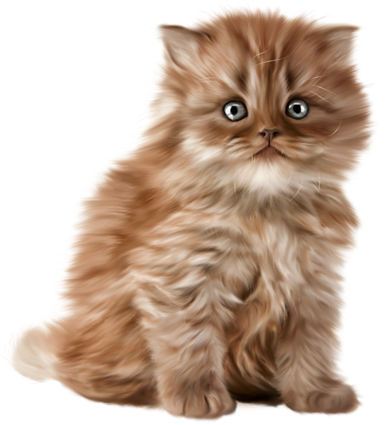 TADD_elements_LastDanceInParis (65)