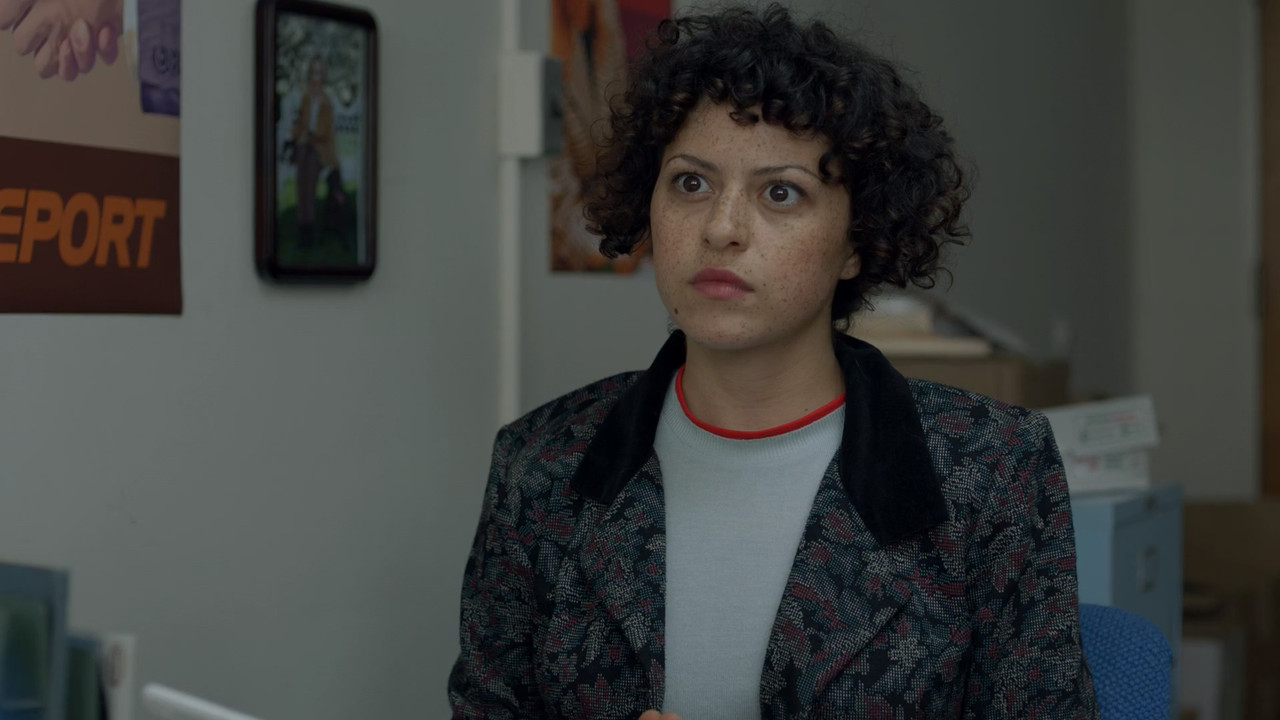 Search Party (2016) S01E01 The Mysterious Disappearance of the Girl No One Knew (1080p HMAX Webrip x