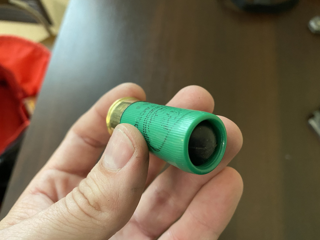 2EA3716F-21F9-41C7-93CB-1BCB5919AD23