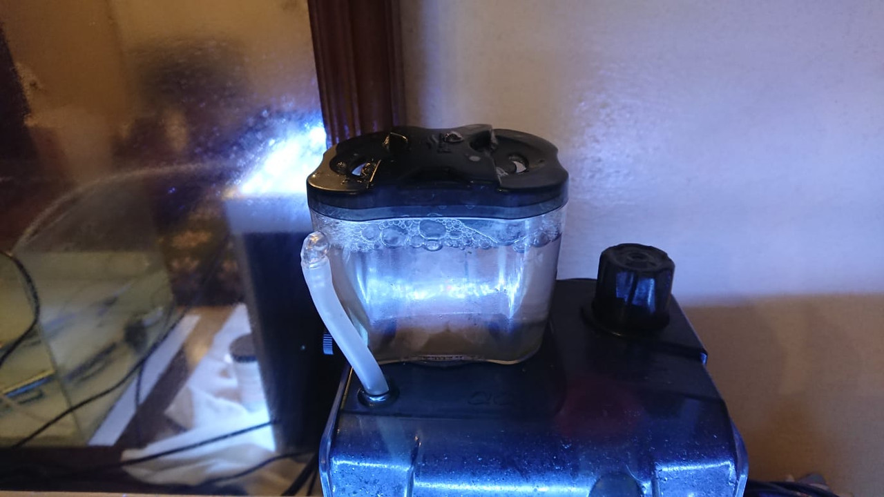 WhatsApp Image 2020-06-15 at 22.41.13 (1)