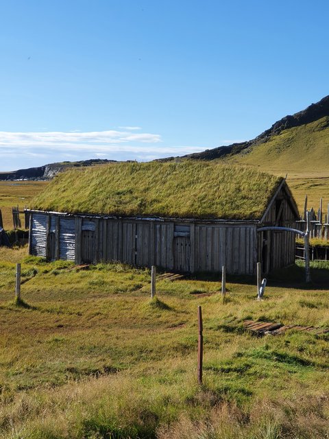 DIA 13: DJÚPIVOGUR A FJALLSÁRLÓN - Islandia en tiempos de Covid. Y con Camper! (6)
