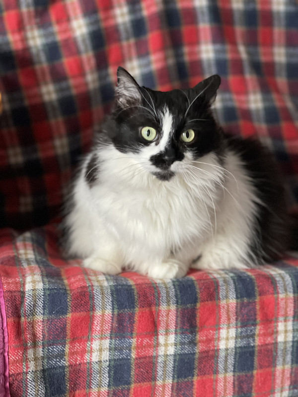 D9536A1F-5A87-4506-9120-CD218A9A4A4D