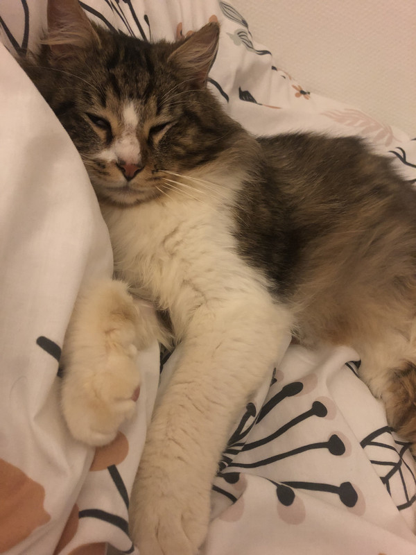 4DD9F032-A63C-44A1-8832-3FA8E4E046AD