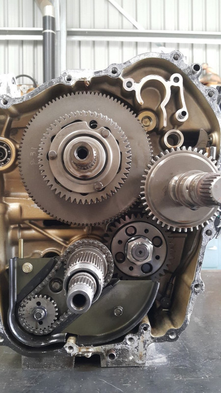 20200329_144134 (Medium)