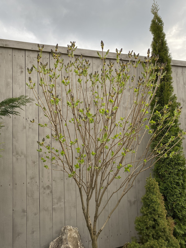 2DC32DC7-D73B-46E5-9CB3-E19EFFE52AE6