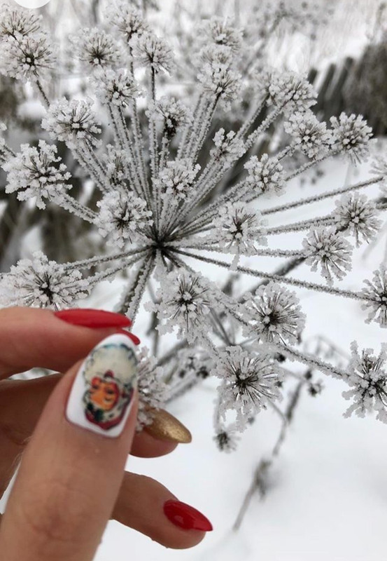 Screenshot_20230212_195937_Chrome