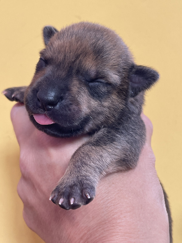 C30CC829-06FB-473A-AA88-7B8F4DDCB10E