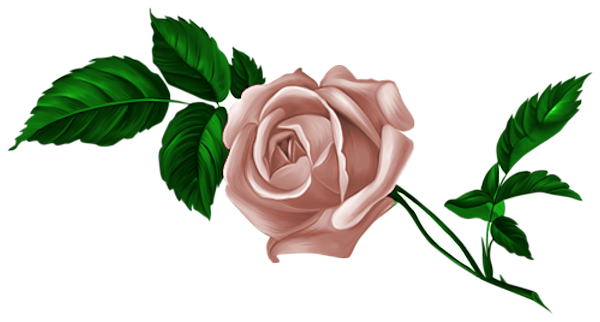 TADD_BrownLove_elements (109)