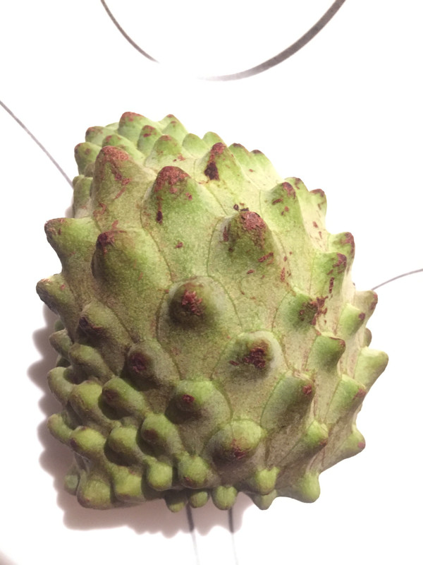 F8FB6FB4-7F47-46ED-B8E3-B23054A7B135