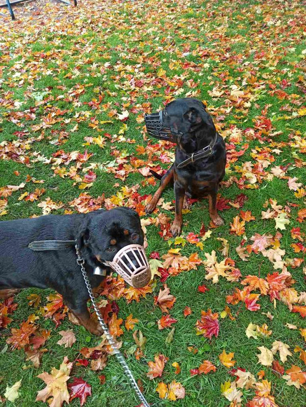 B27DB43E-9256-42ED-A9A9-73EFD939FBED